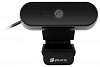 Камера Web Оклик OK-C008FH черный 2Mpix (1920x1080) USB2.0 с микрофоном