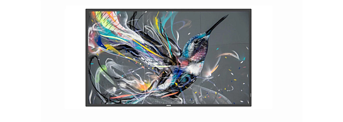 професиональный дисплей 65" Philips 65BDL3511Q